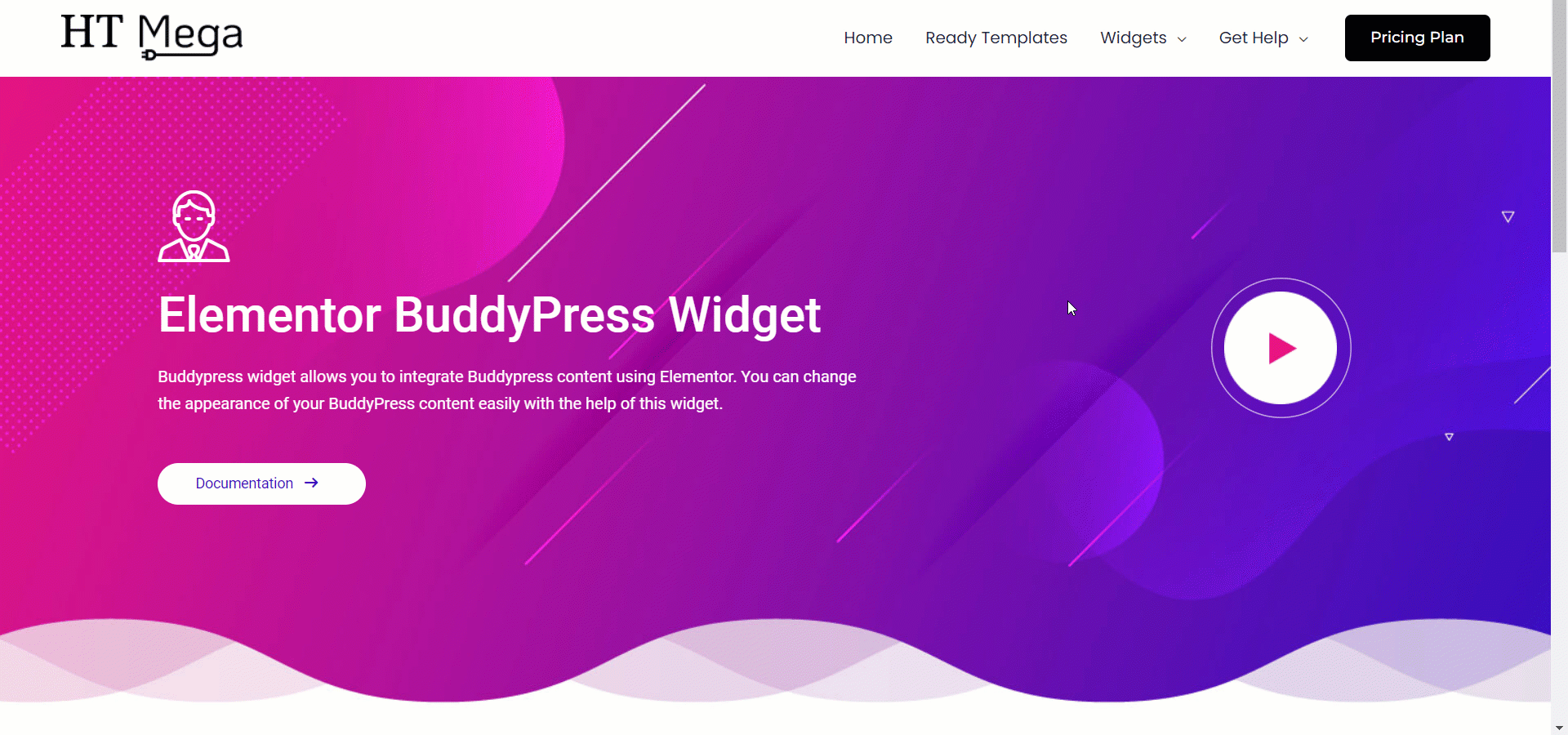 BuddyPress Widget